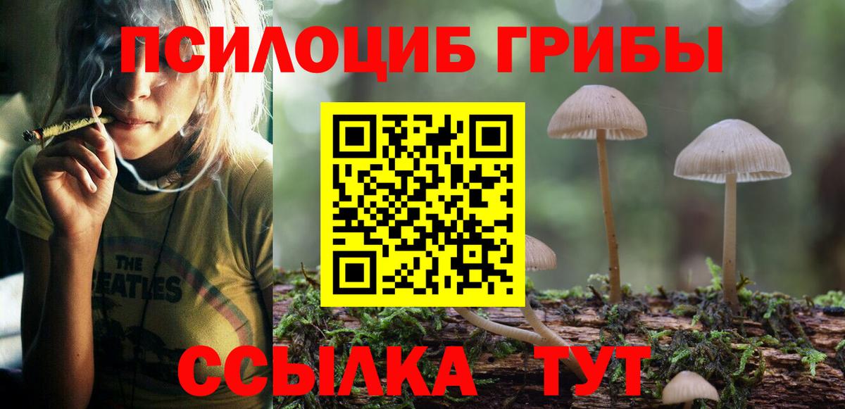 Псилоцибиновые грибы MAGIC MUSHROOMS Котовск